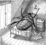 🕷 Gregor'u ararken