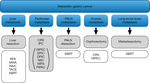 Surgical management of metastatic gastric cancer: moving beyond the guidelines